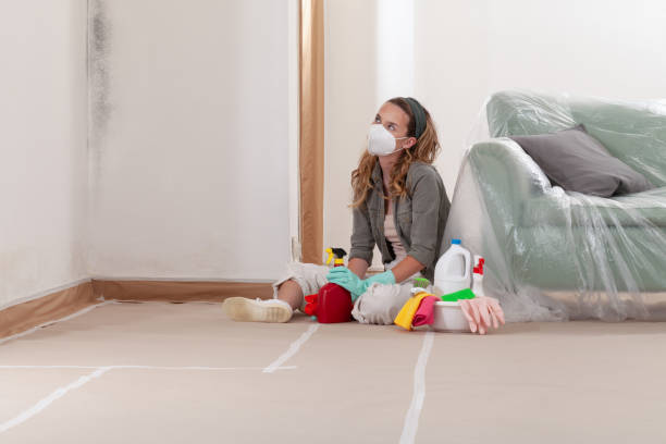 Reliable Basement Mold Remediation contractor in Bridgeport, TX by Car Mold Remediation